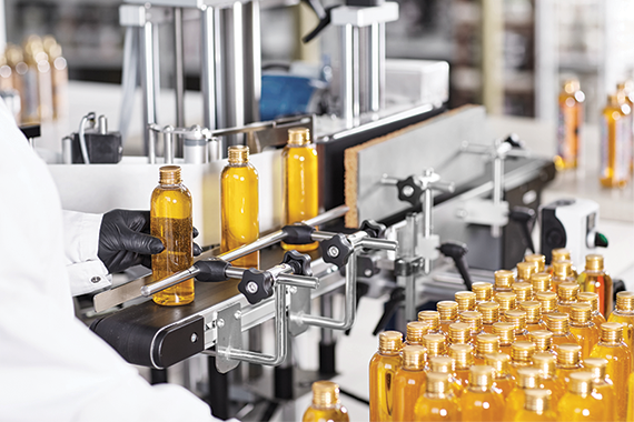 Food & Beverage (F&B) Services